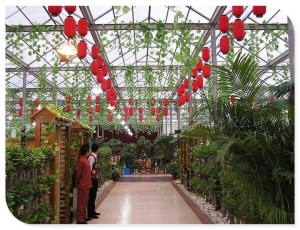 绿色生态餐厅专用板——拜耳智能调温板2