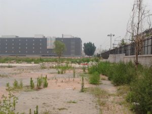 001aa018ff9c1165e1a118