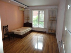 medium_bd21456b5e31cc0f430b69102f5ea466