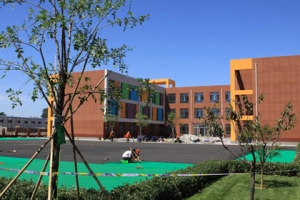 239C3C3A07BAA05D975AF4B25CAE88D5